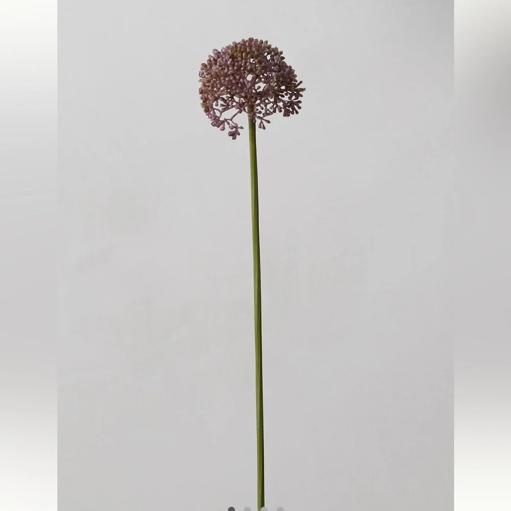 New Terrain Faux Allium Stem - Set of 3